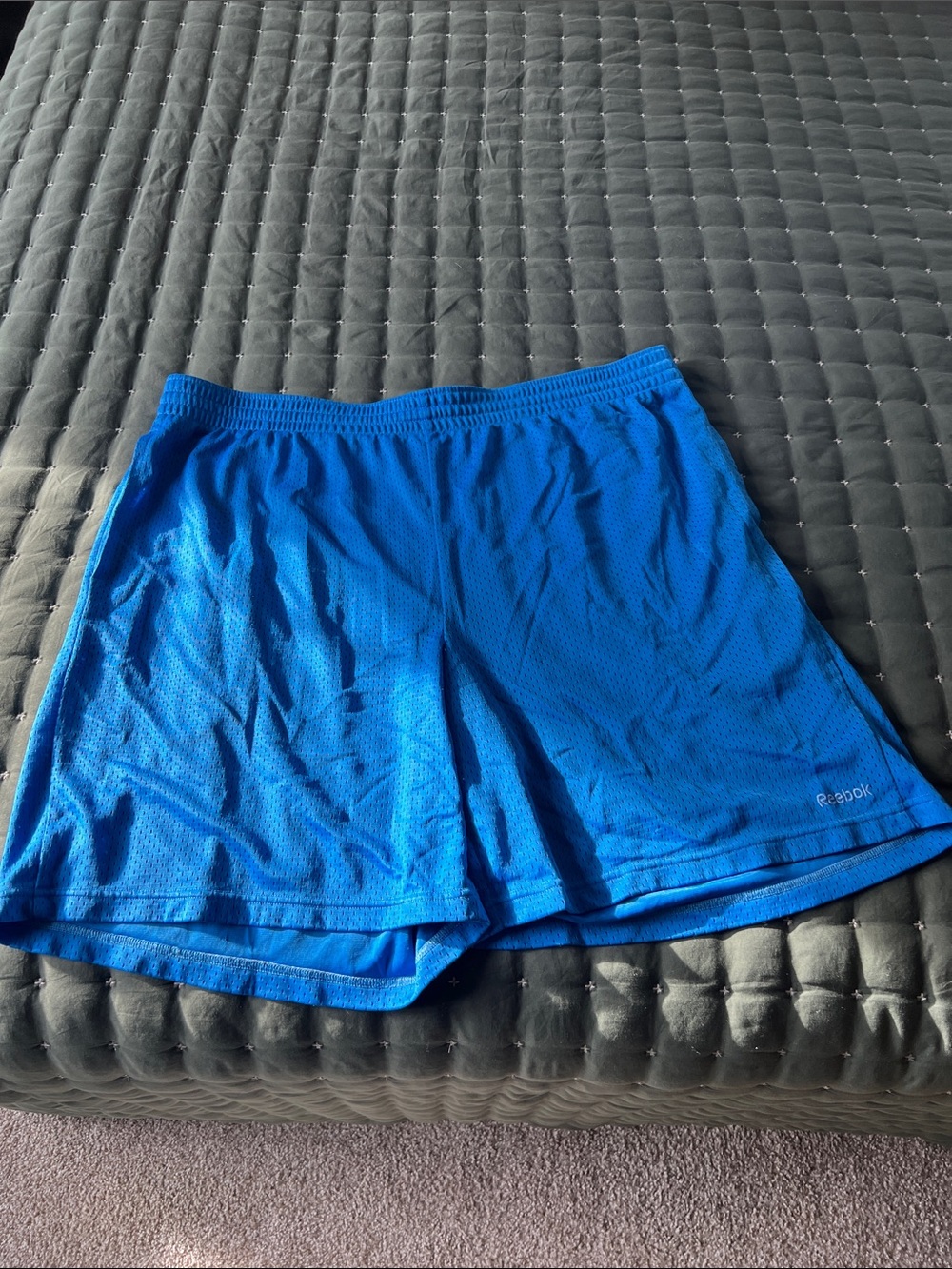 Reebok Men’s Royal Blue Athletic Mesh Shorts